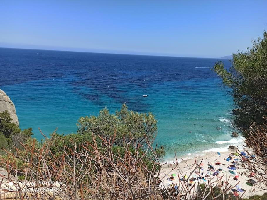 Haiku Home Cala Gonone Εξωτερικό φωτογραφία