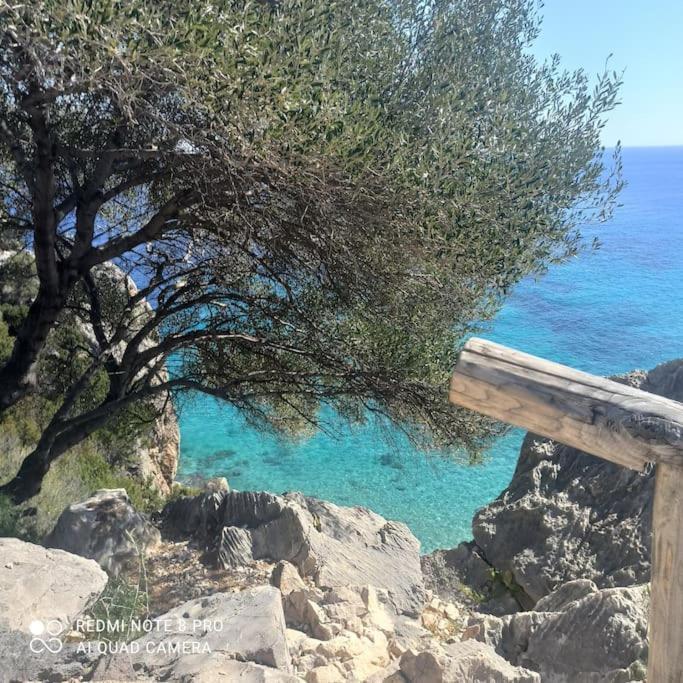 Haiku Home Cala Gonone Εξωτερικό φωτογραφία