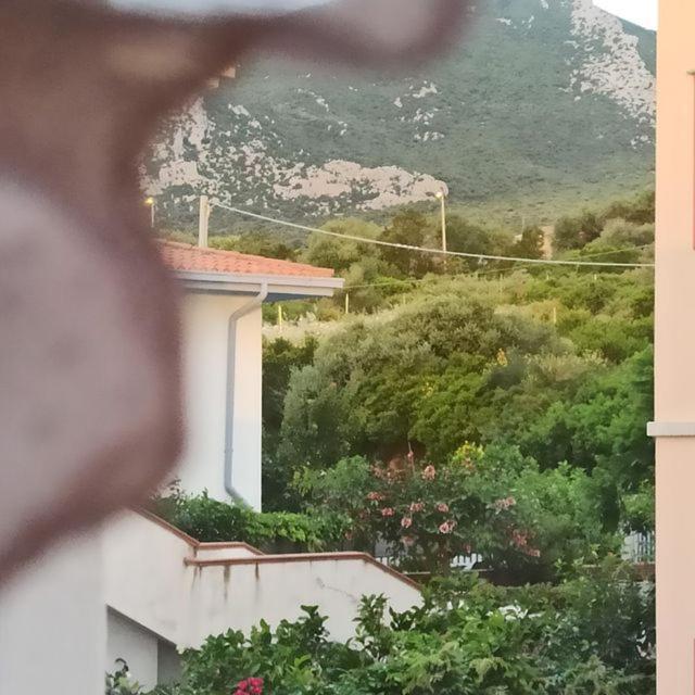 Haiku Home Cala Gonone Εξωτερικό φωτογραφία