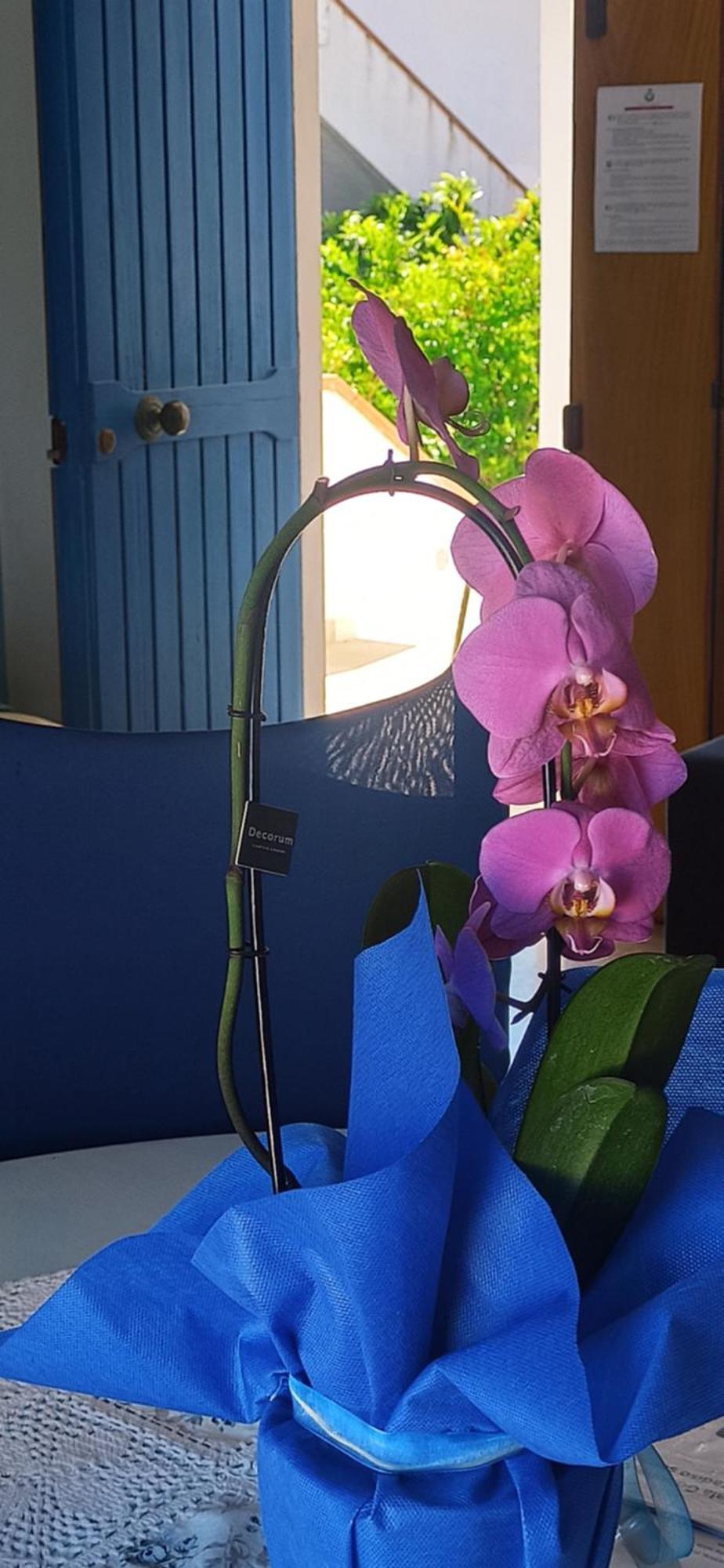 Haiku Home Cala Gonone Εξωτερικό φωτογραφία