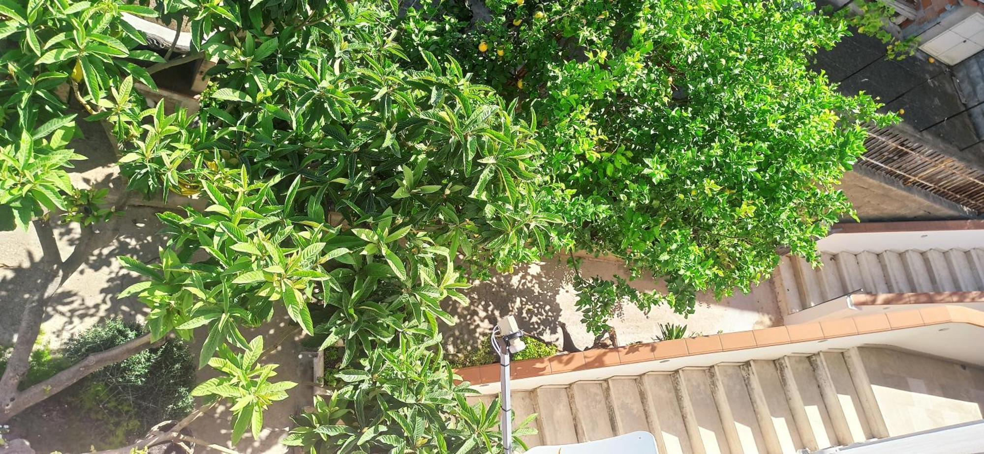 Haiku Home Cala Gonone Δωμάτιο φωτογραφία